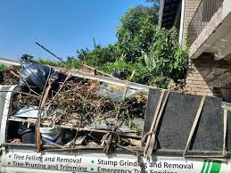 Best Basement Cleanout  in Florence, MT